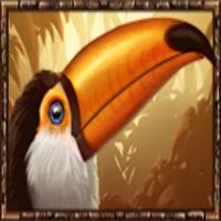 Phoenix Reborn winning bird