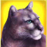 Wolf Moon Rising panther winning symbol