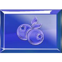 Gemmed cherries winning symbol