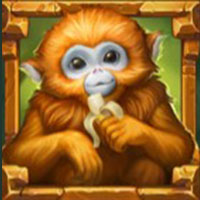 Rainforest Magic monkey winning symbol