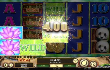 Bamboo Rush Win
