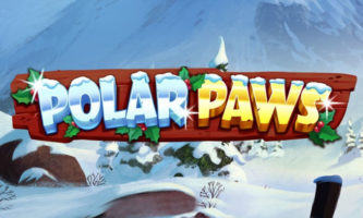 Polar Paws slot free play