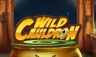 Wild Cauldron slot
