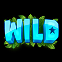 Wonder Woods Wild Symbol