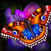 Amazon Gold Butterfly Symbol