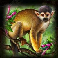 Amazon Gold Monkey Symbol