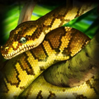 Amazon Gold Snake Symbol
