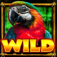 Amazon Gold Wild Symbol