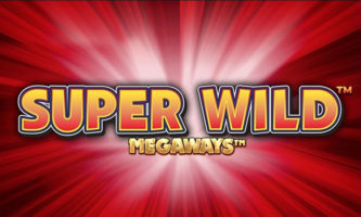 Super Wild Megaways slot