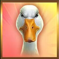 Ted Megaways Duck Symbol
