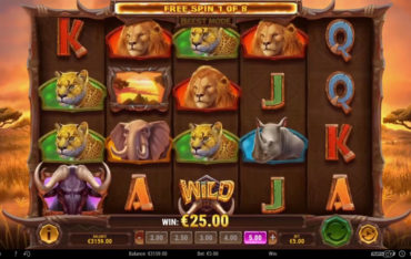 Win a Beest Free Spins
