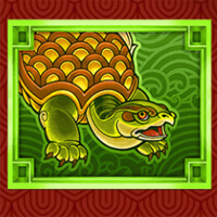 Infinity Dragon Turtle Symbol