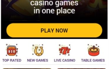 Beespins Casino - Mobile Version