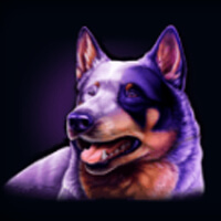 Silver Stallion Action Spins Dog Symbol