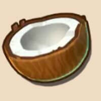 Aloha! Christmas Coconut Symbol