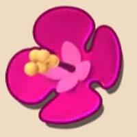 Aloha! Christmas Flower Symbol