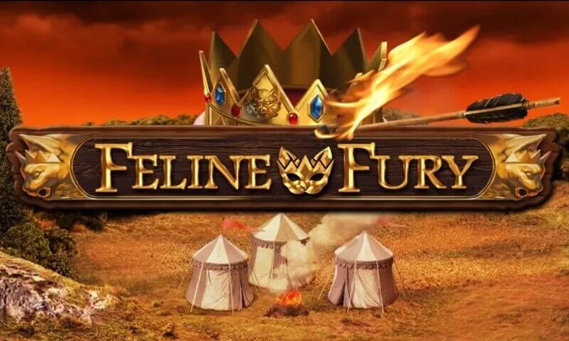 Feline Fury Slot