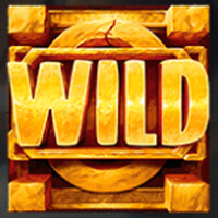 Hyper Burst Wild Symbol