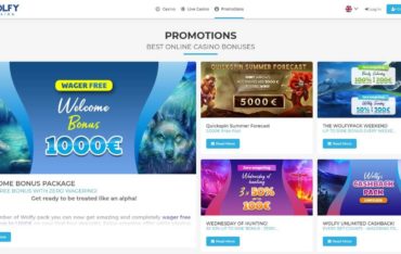 Promotions at Wolfy Casino