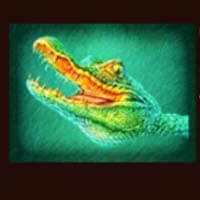 Raging Rhino Ultra Aligator Symbol