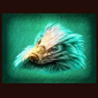 Raging Rhino Ultra Animal Symbol