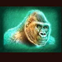 Raging Rhino Ultra Gorilla Symbol