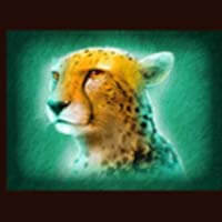 Raging Rhino Ultra Leopard Symbol