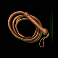 Western Gold WhipSymbol