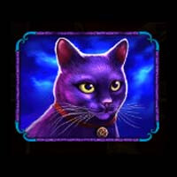 Madame Destiny Megaways Cat Symbol