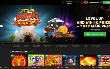 winz.io - Website Revieww