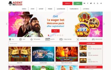 Agentnowagercom - Website Review