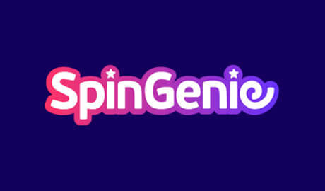 Reasons You Need Spin Genie To Write A Good Blog