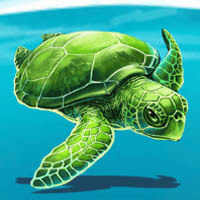 Fishin Bonanza Turtle Symbol