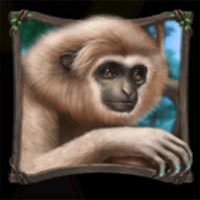 Blue Panther Monkey Symbol