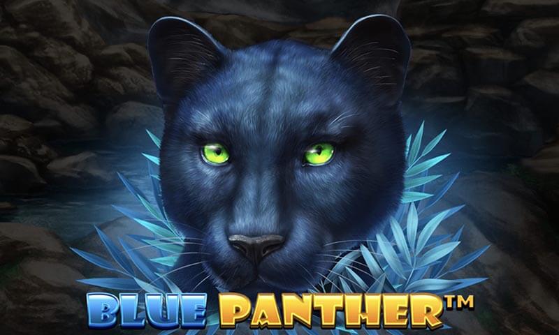 Blue Panther Slot