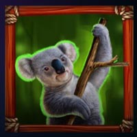 Pokie Megaways Koala Symbol