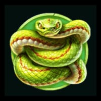 Silverback Gold Snake Symbol