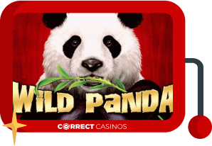 Wild Panda - Aristocrat
