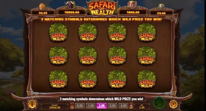 Safari of Wealth pick me