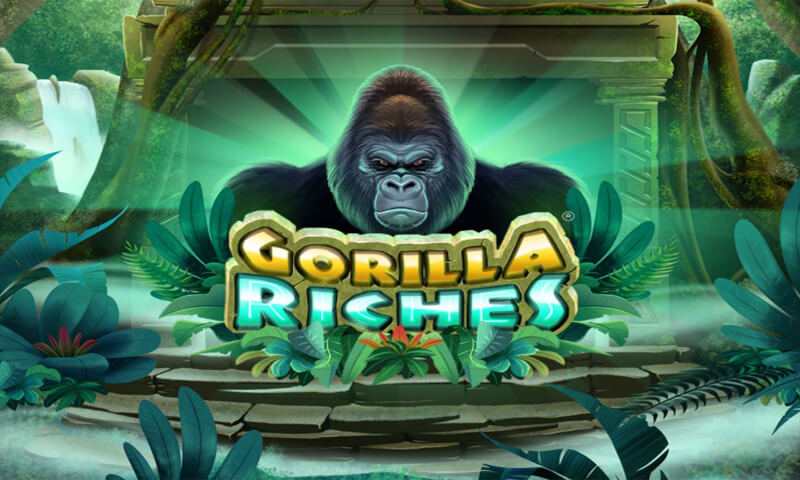 ​Gorilla Casino