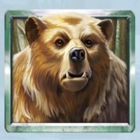 Wild Tundra bear symbol