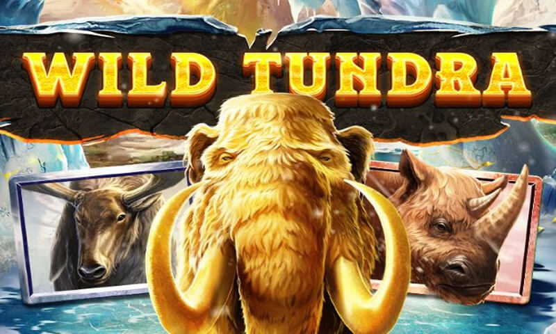 Wild Tundra slot