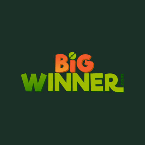 Big Winner Board Casino