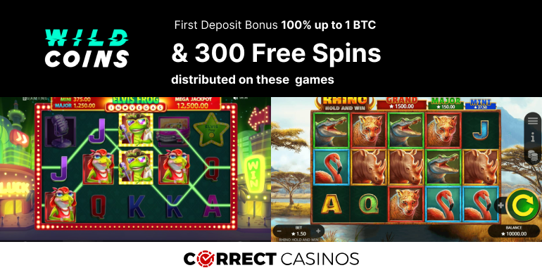 Wildcoins Casino First Deposit Bonus (1)