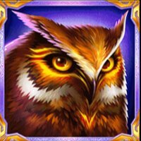Arctic Sorcerer Gigablox Owl Symbol