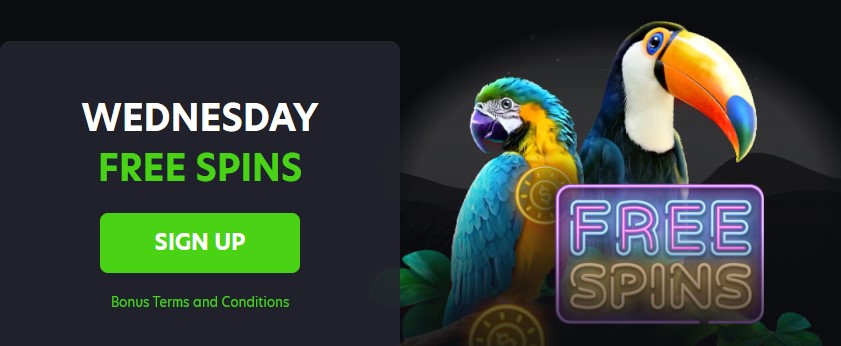 Wednesday Free Spins Bonus at Neospin Casino
