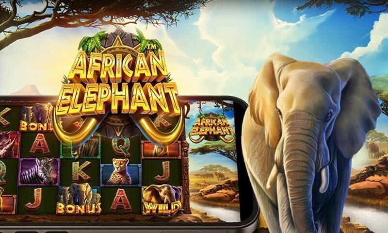 African Elephant Slot