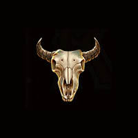Wild West Ways Skull Symbol