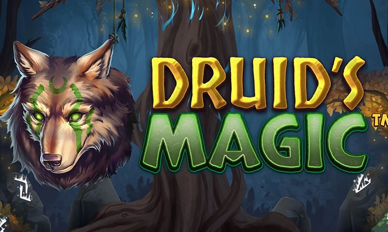 Druid's Magic Slot
