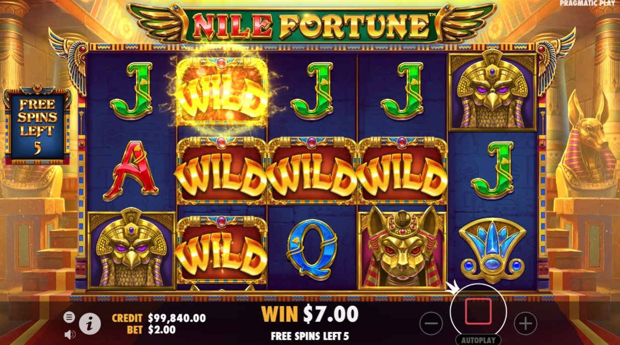Nile Fortune